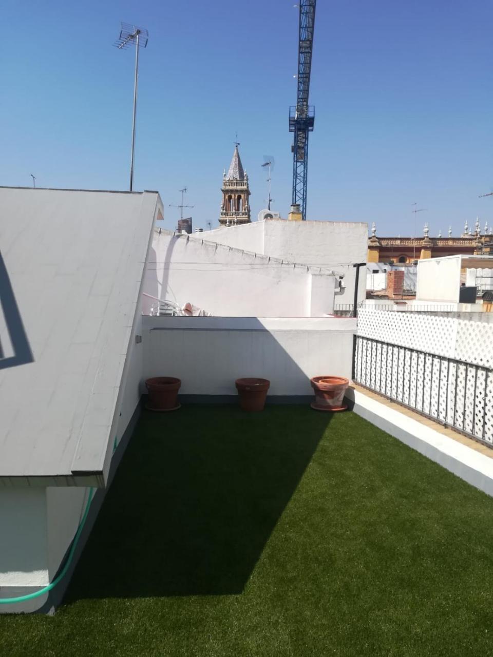 Ole Pureza Terraza * Sevilla